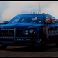 2014 Generic Pursuit Sedan Xmas Tree
